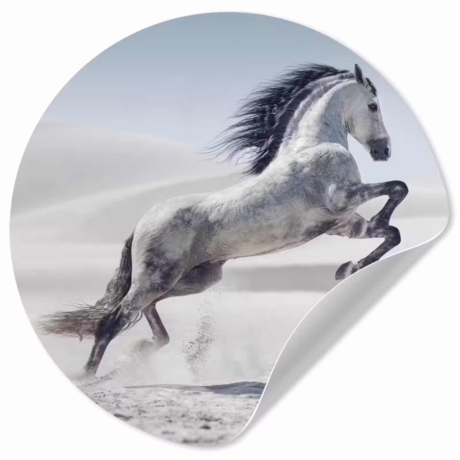 Behangcirkel - Paard - Dieren - Zand - Natuur — 1
