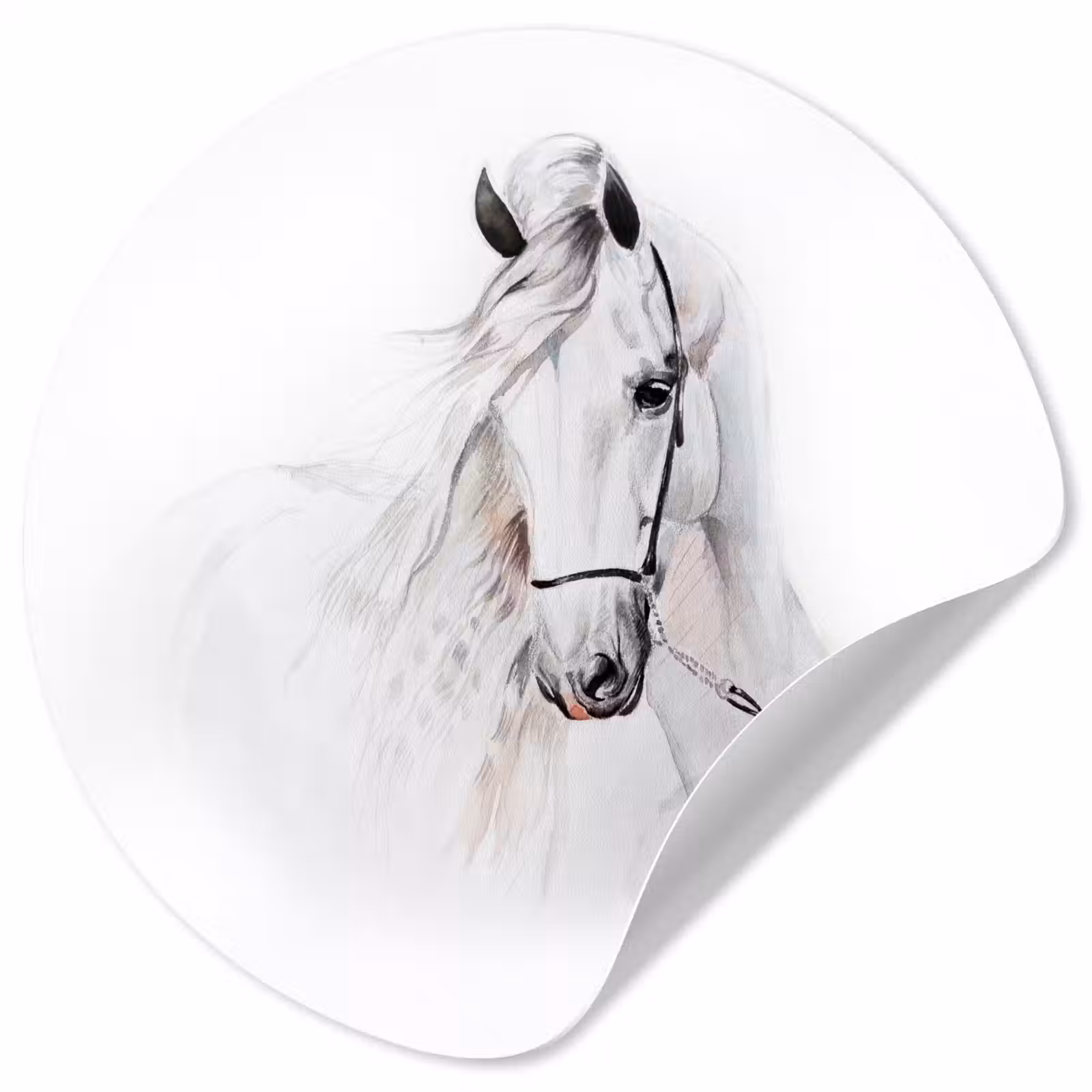 Behangcirkel - Paard - Waterverf - Dieren - Wit — 1