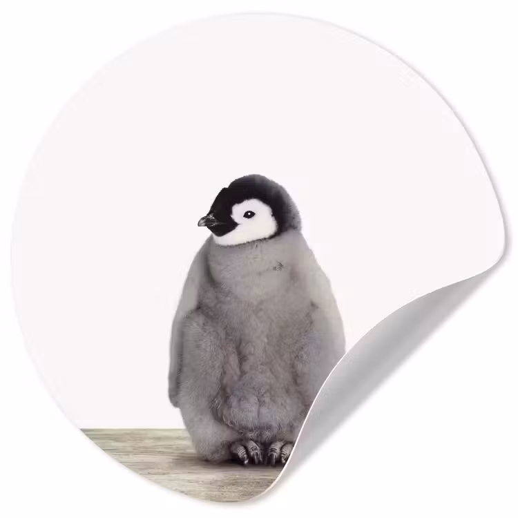 Behangcirkel - Kinderen - Pinguïn - Grijs - Dieren - Meisjes - Jongens — 1