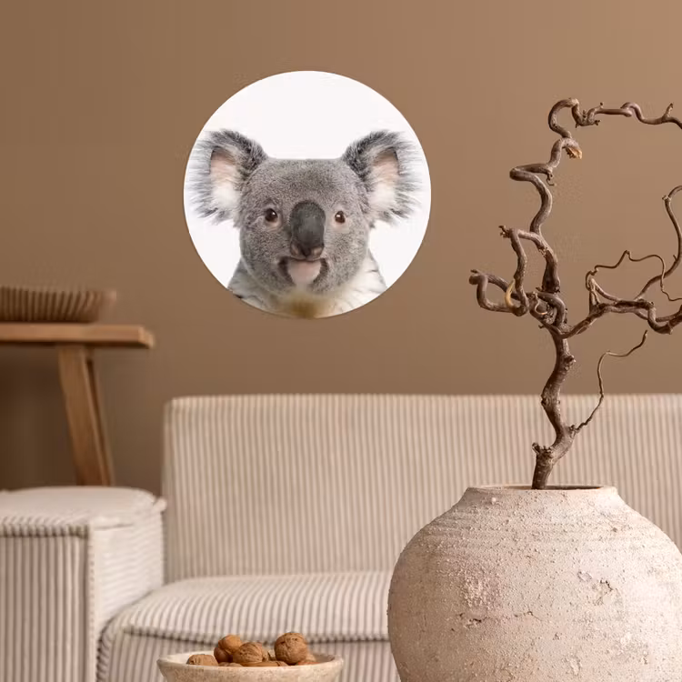 Behangcirkel - Koala - Koala beer - Meisjes - Jongens - Kinderen - Dieren — 2