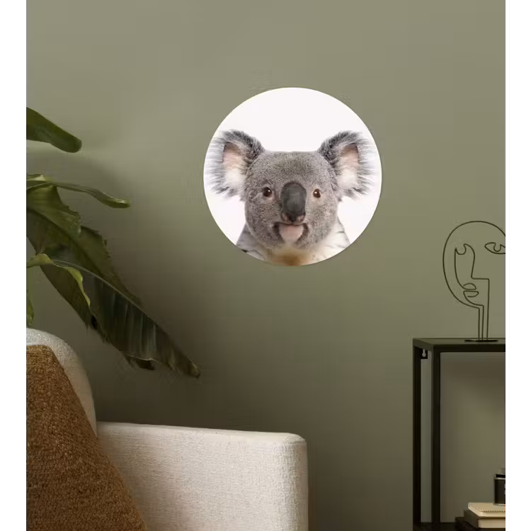Behangcirkel - Koala - Koala beer - Meisjes - Jongens - Kinderen - Dieren — 3