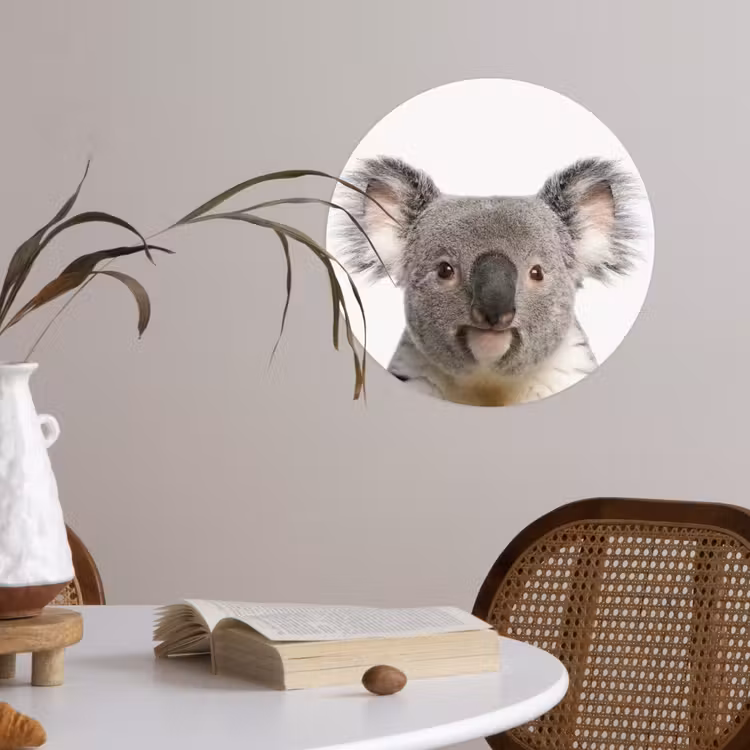 Behangcirkel - Koala - Koala beer - Meisjes - Jongens - Kinderen - Dieren — 4