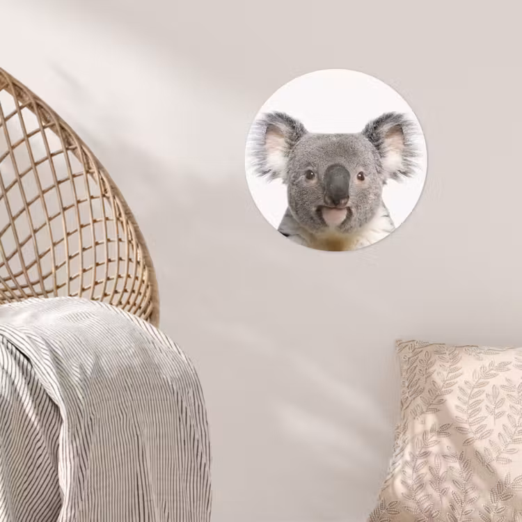 Behangcirkel - Koala - Koala beer - Meisjes - Jongens - Kinderen - Dieren — 5