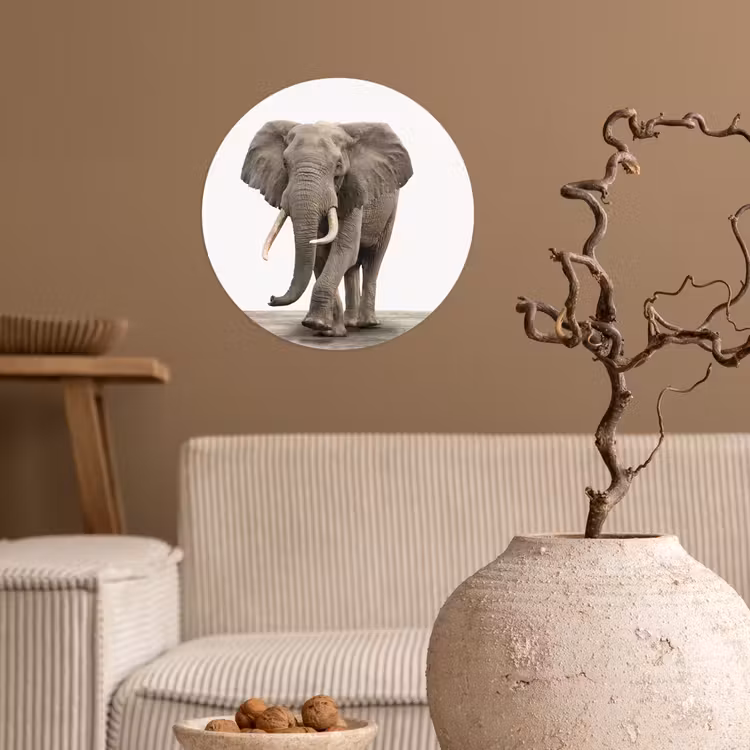 Behangcirkel - Olifant - Kinderen - Jongens - Dieren - Meisjes — 2