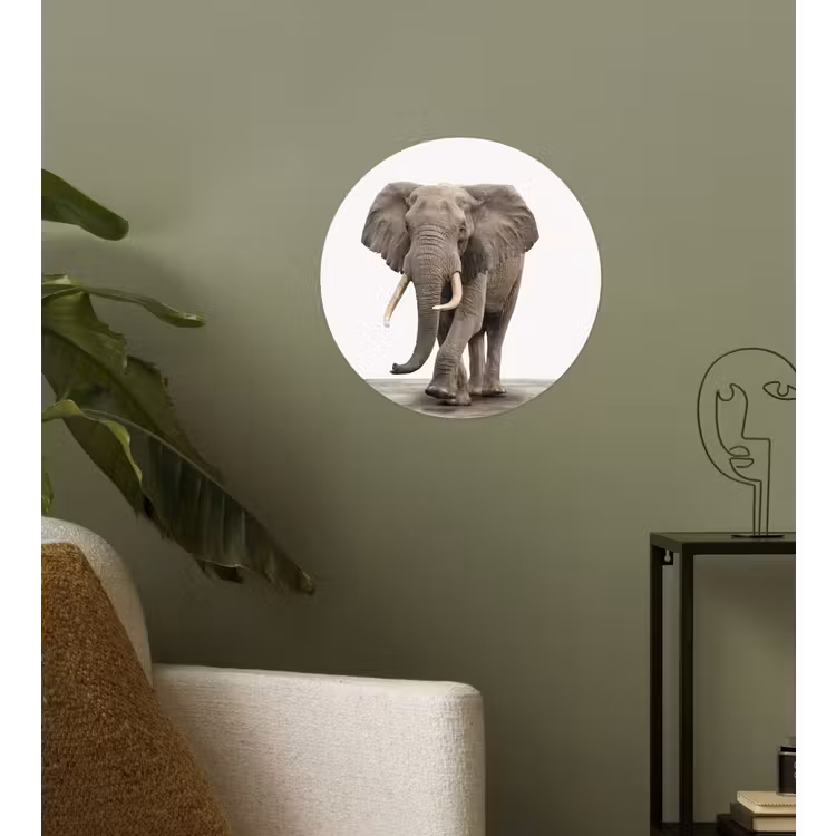 Behangcirkel - Olifant - Kinderen - Jongens - Dieren - Meisjes — 3