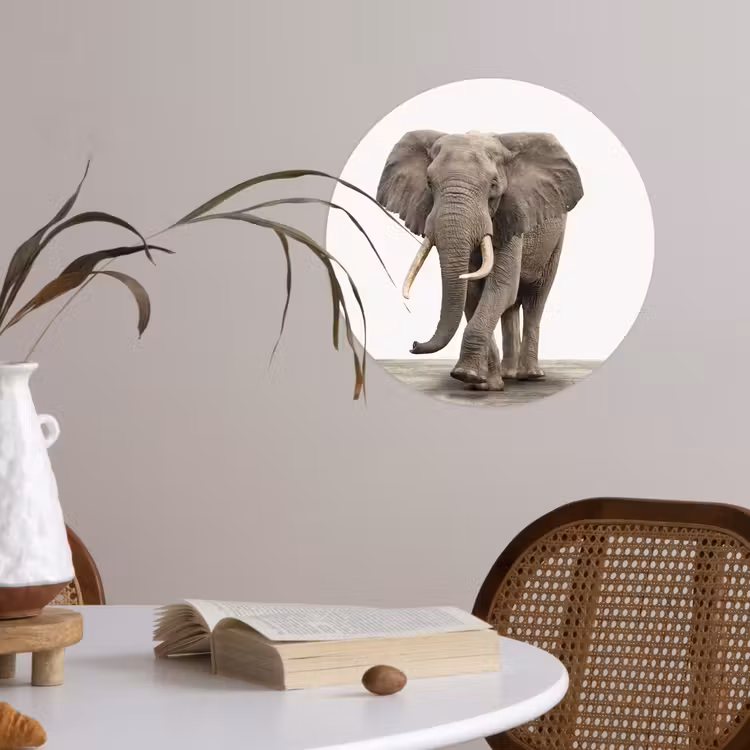 Behangcirkel - Olifant - Kinderen - Jongens - Dieren - Meisjes — 4
