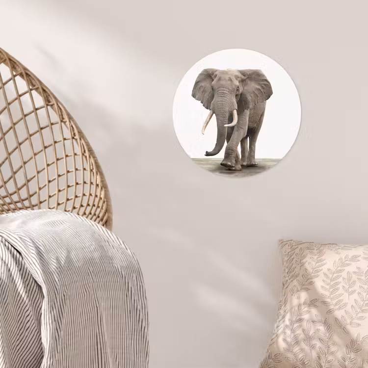 Behangcirkel - Olifant - Kinderen - Jongens - Dieren - Meisjes — 5
