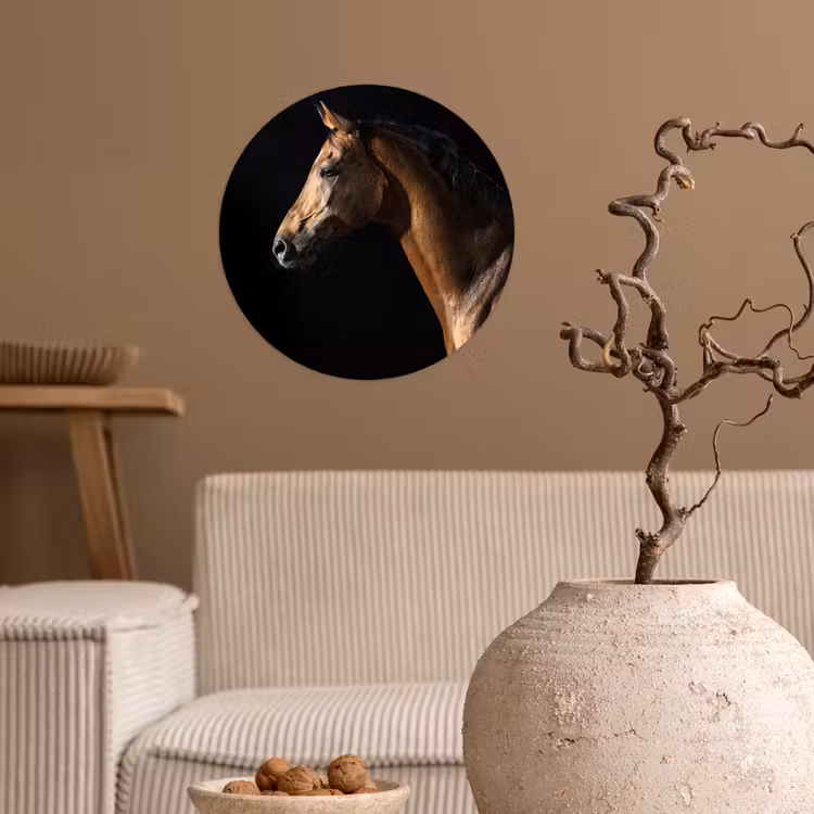 Behangcirkel - Paard - Dieren - Nacht - Zwart — 2