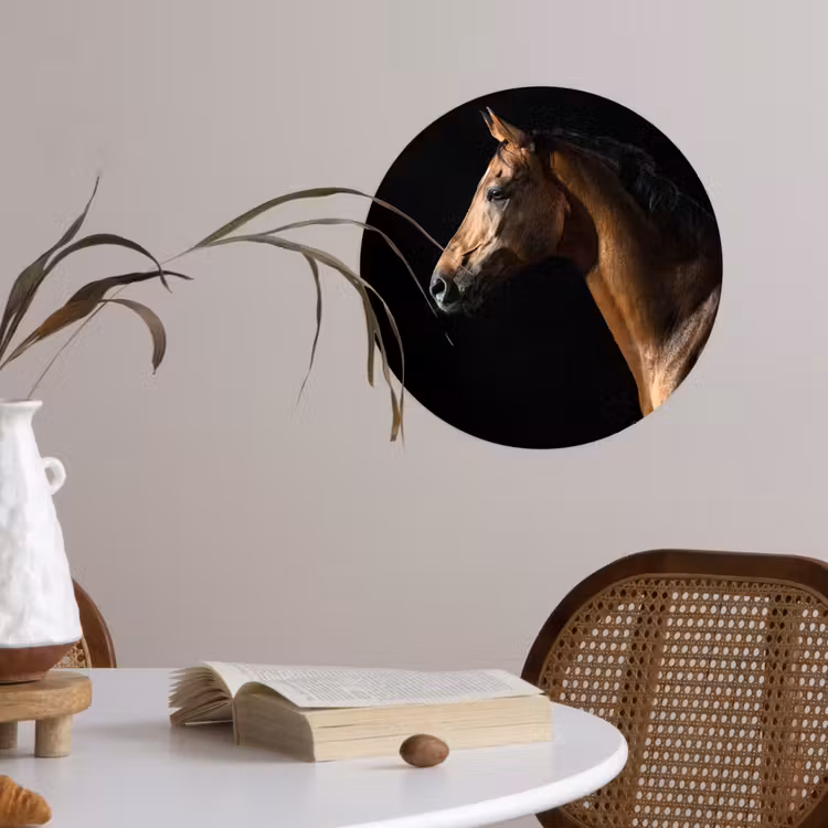 Behangcirkel - Paard - Dieren - Nacht - Zwart — 4