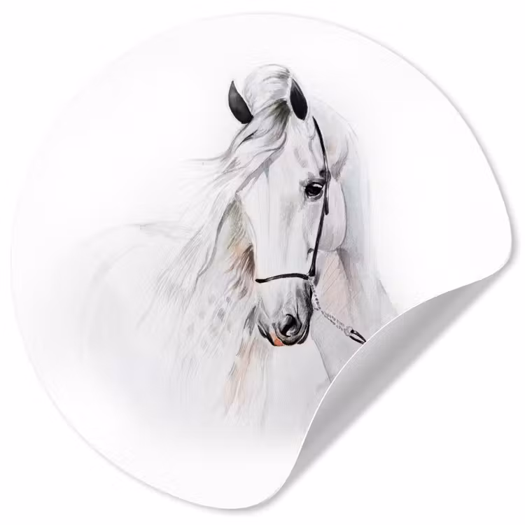 Behangcirkel - Paard - Waterverf - Dieren - Wit — 1
