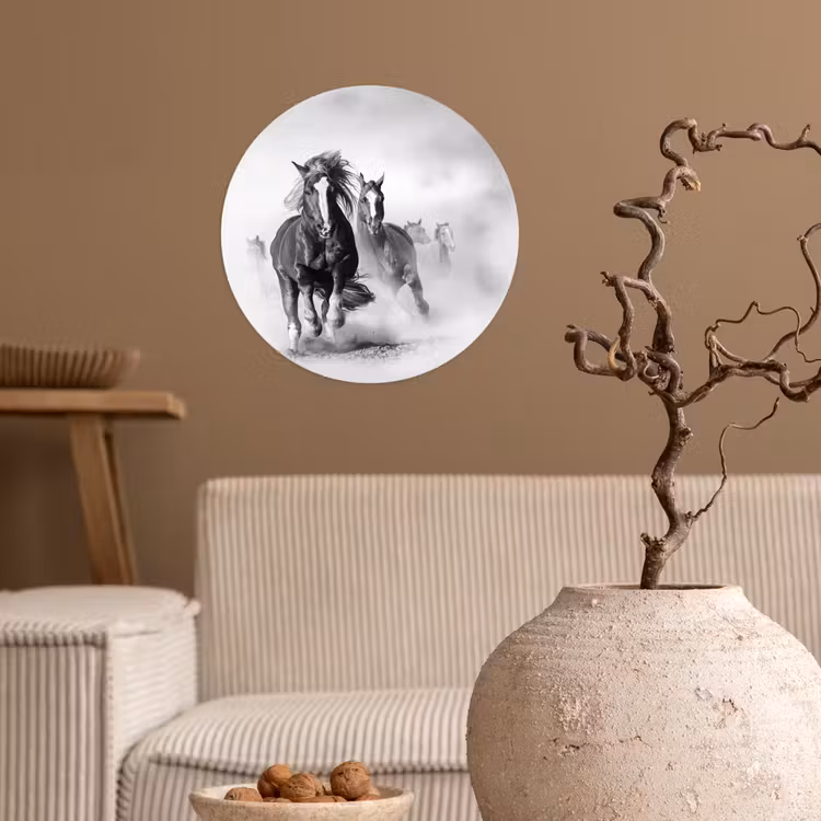 Behangcirkel - Paarden - Dieren - Illustratie — 2