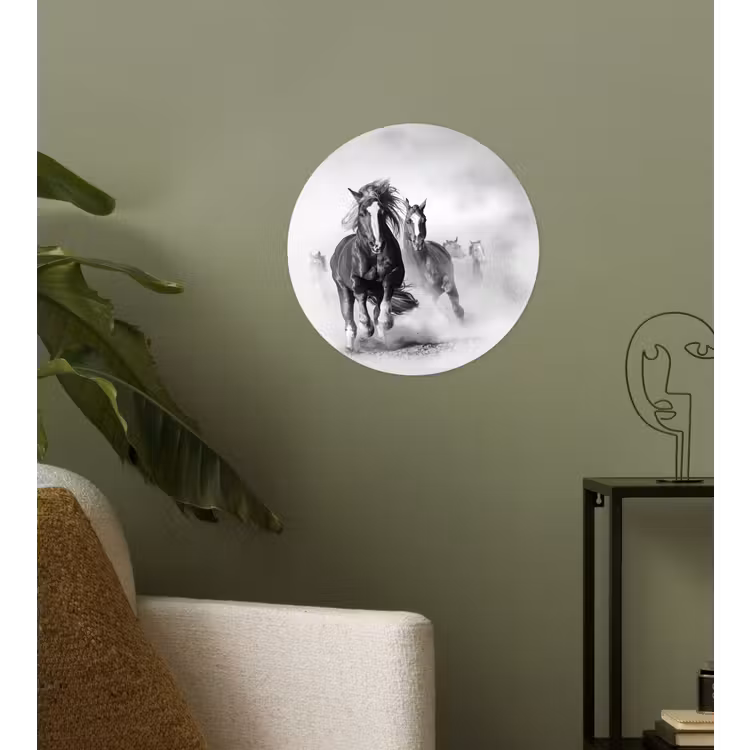 Behangcirkel - Paarden - Dieren - Illustratie — 3