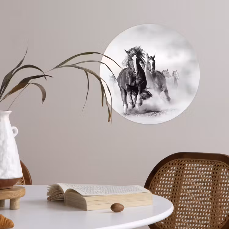 Behangcirkel - Paarden - Dieren - Illustratie — 4