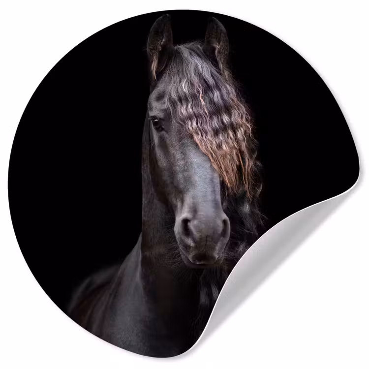 Behangcirkel - Paarden - Fries - Manen - Zwart - Dieren — 1