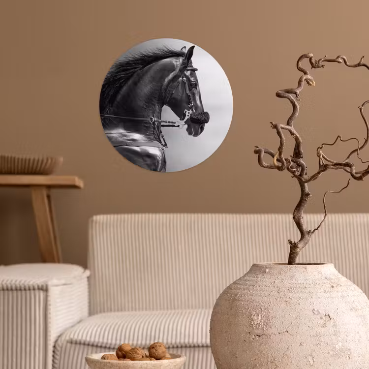 Behangcirkel - Paarden - Zwart - Portret - Dieren — 2