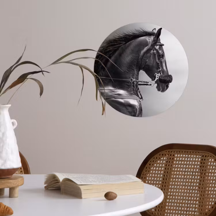 Behangcirkel - Paarden - Zwart - Portret - Dieren — 4