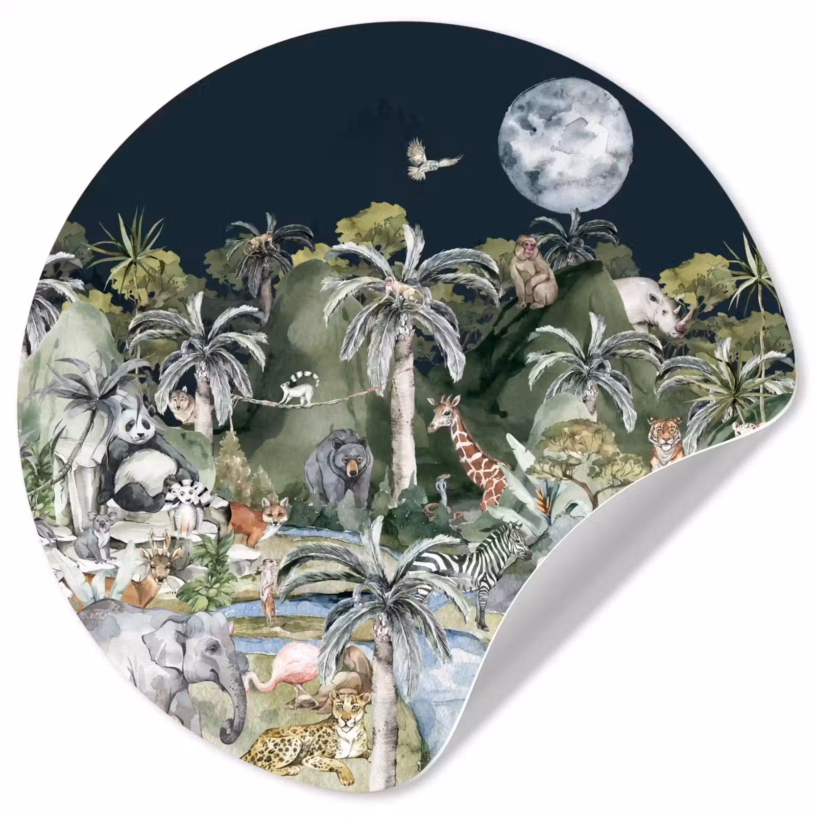 Behangcirkel - Kinderen - Jungle - Natuur - Dieren - Planten — 1
