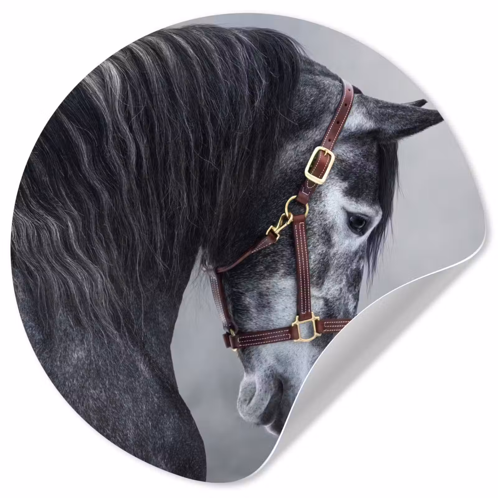 Behangcirkel - Paard - Grijs - Bruin - Dieren - Rook — 1