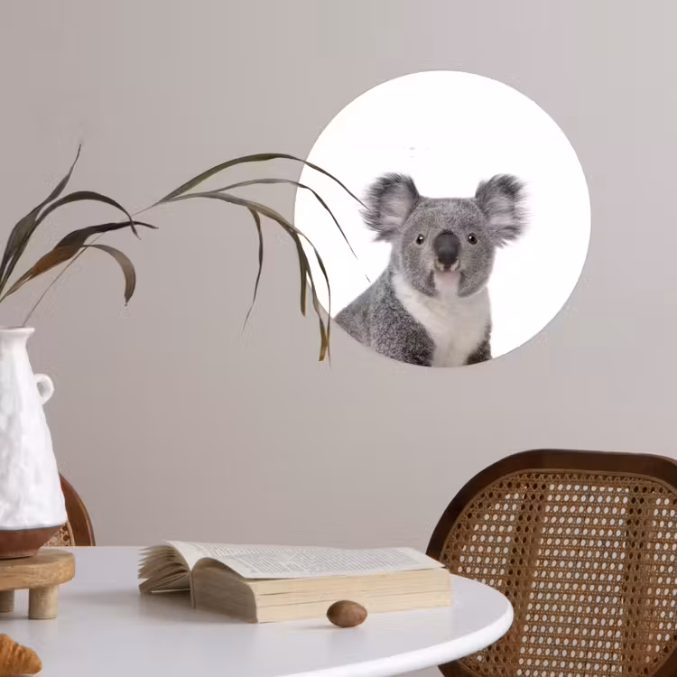 Behangcirkel - Koala - Dieren - Kind - Wit - Meisje - Jongen — 4