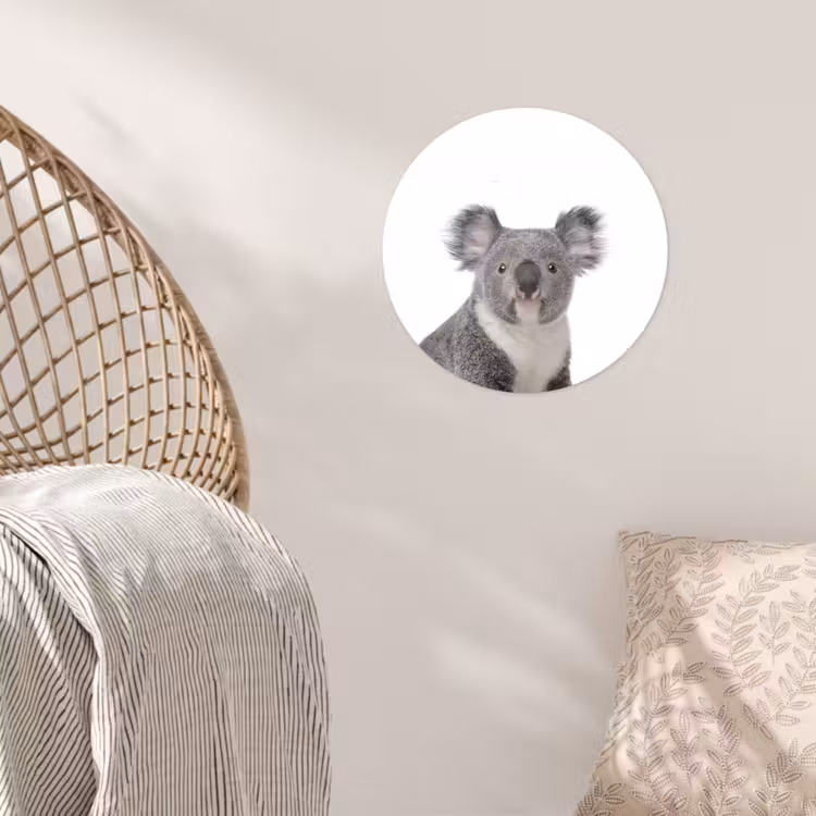 Behangcirkel - Koala - Dieren - Kind - Wit - Meisje - Jongen — 5