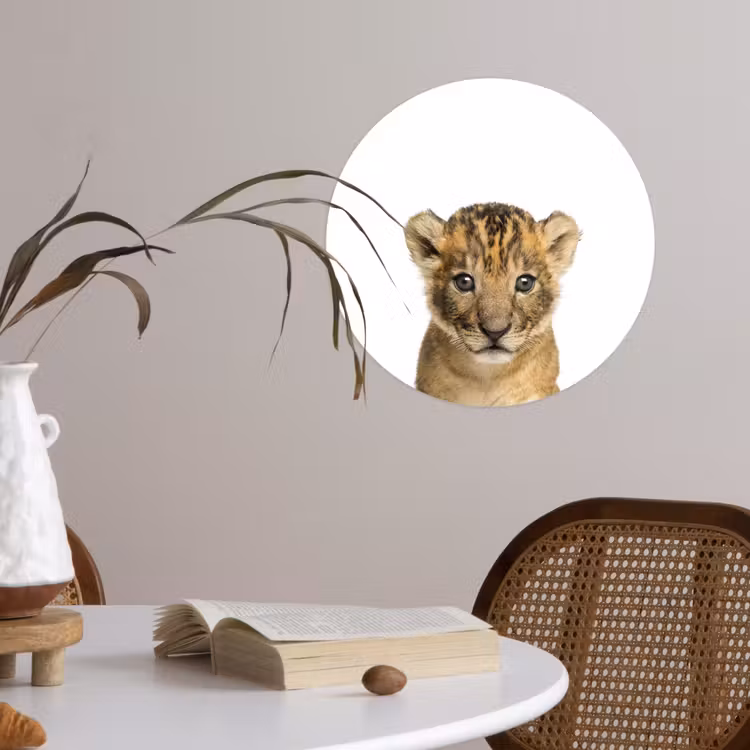 Behangcirkel - Leeuw - Kinderen - Wilde dieren - Welp - Jongen — 4
