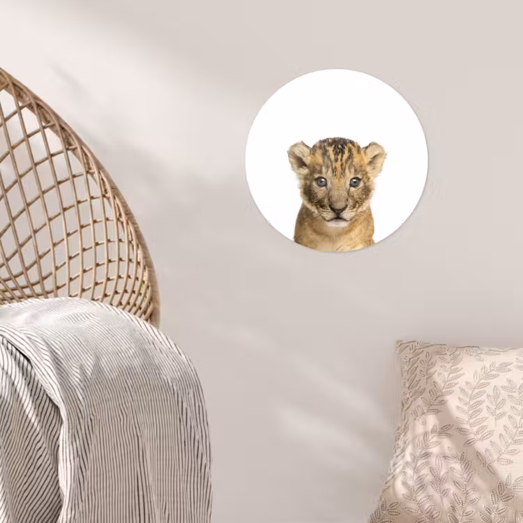 Behangcirkel - Leeuw - Kinderen - Wilde dieren - Welp - Jongen — 5