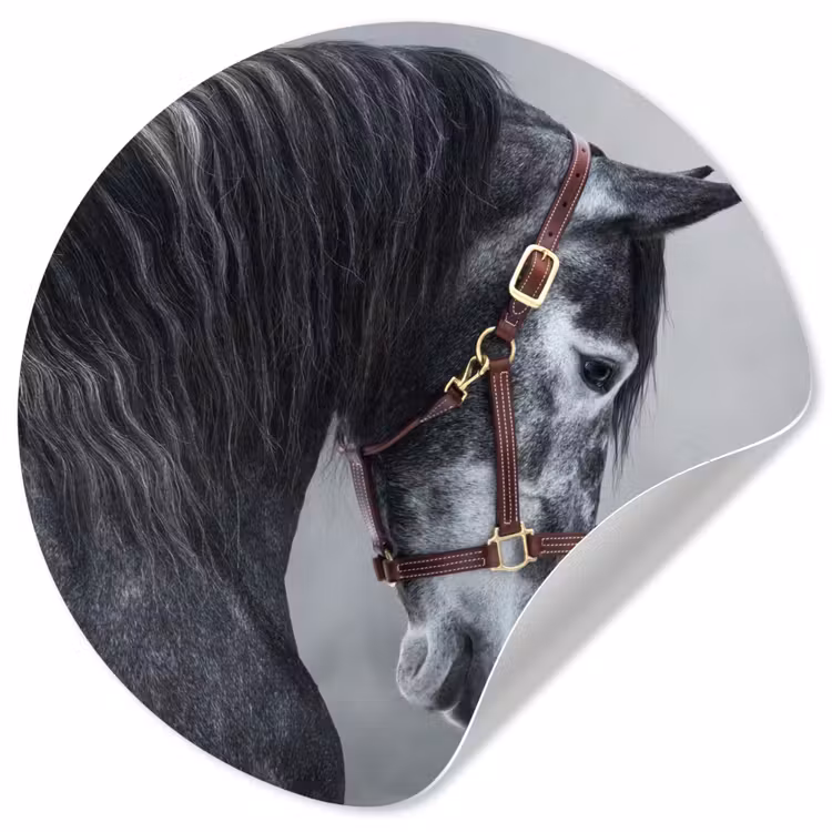 Behangcirkel - Paard - Grijs - Bruin - Dieren - Rook — 1