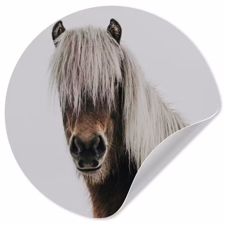 Behangcirkel - Paarden - Dieren - Portret - Bruin - Wit — 1
