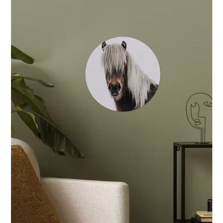 Behangcirkel - Paarden - Dieren - Portret - Bruin - Wit — 3