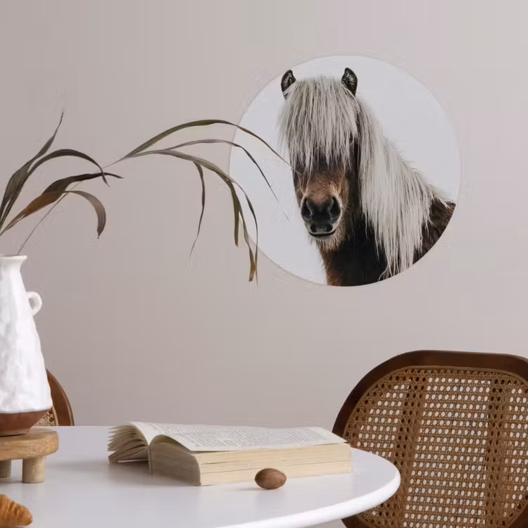 Behangcirkel - Paarden - Dieren - Portret - Bruin - Wit — 4