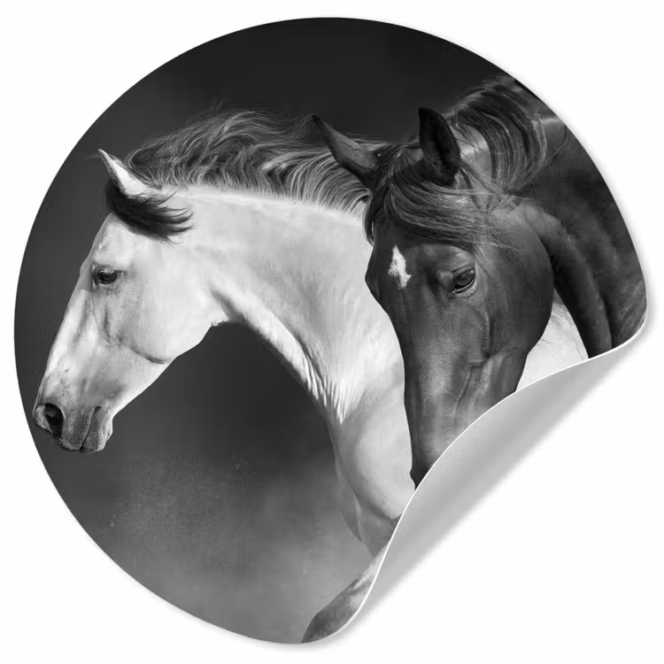 Behangcirkel - Paarden - Dieren - Zwart - Wit - Portret — 1