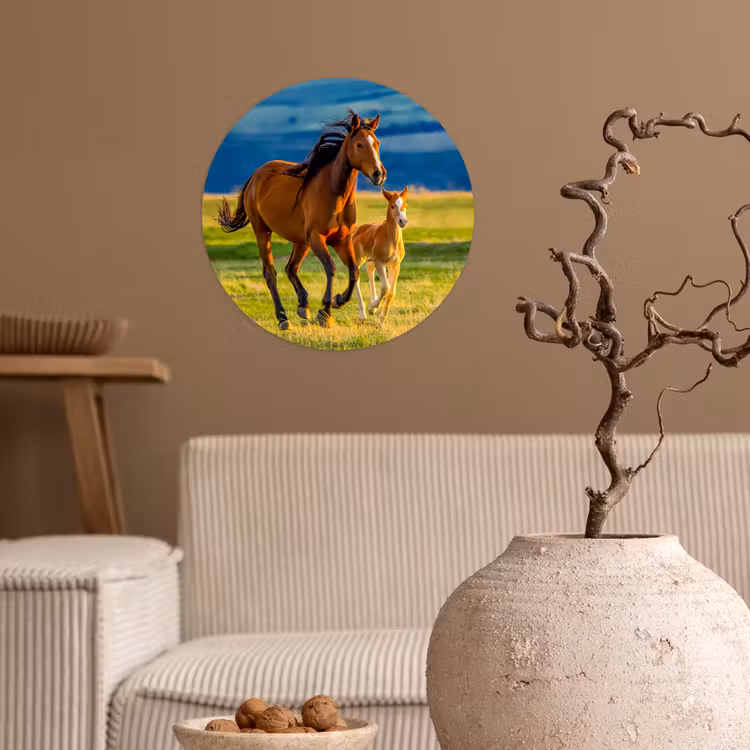 Behangcirkel - Paarden - Gras - Dieren - Landschap - Natuur — 2