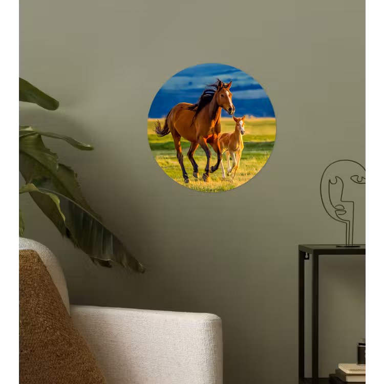 Behangcirkel - Paarden - Gras - Dieren - Landschap - Natuur — 3