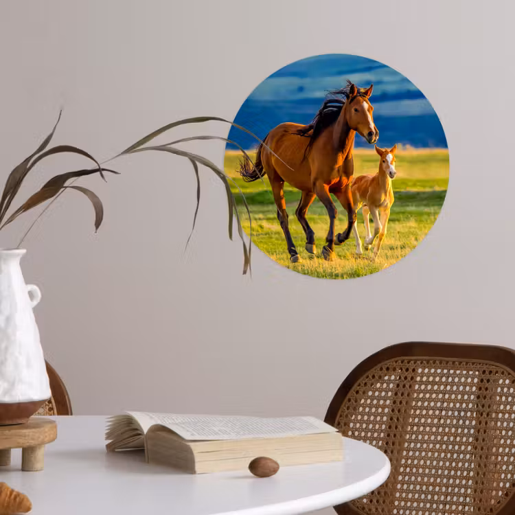 Behangcirkel - Paarden - Gras - Dieren - Landschap - Natuur — 4
