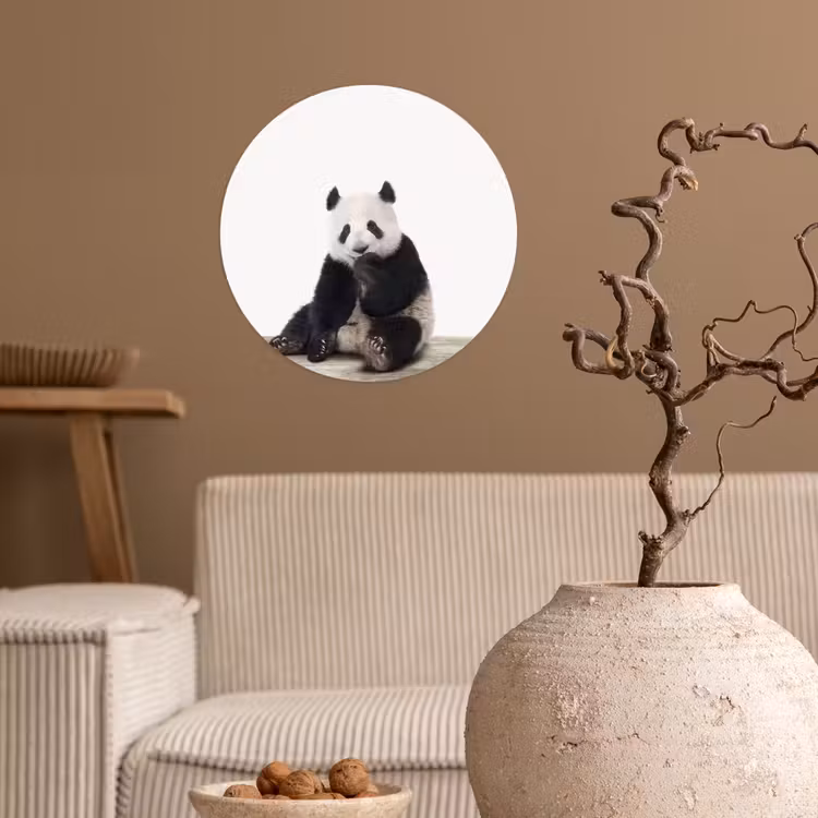 Behangcirkel - Panda - Dieren - Kinderen - Jongens - Meisjes - Pandabeer — 2