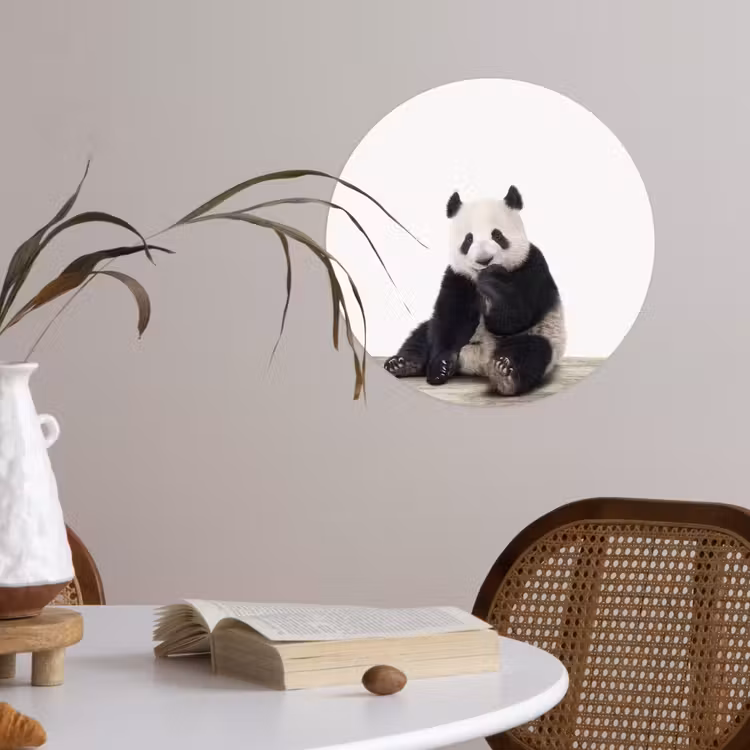 Behangcirkel - Panda - Dieren - Kinderen - Jongens - Meisjes - Pandabeer — 4