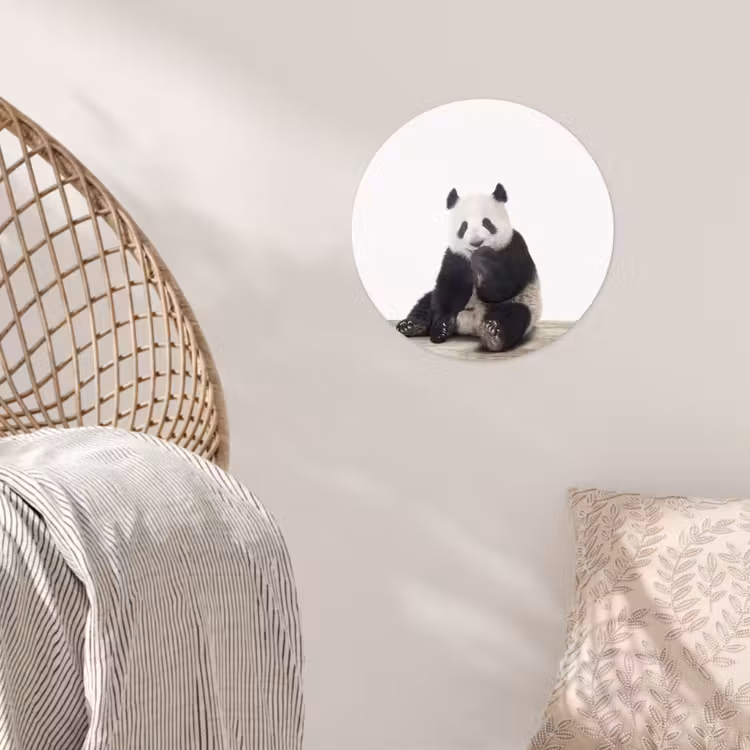 Behangcirkel - Panda - Dieren - Kinderen - Jongens - Meisjes - Pandabeer — 5
