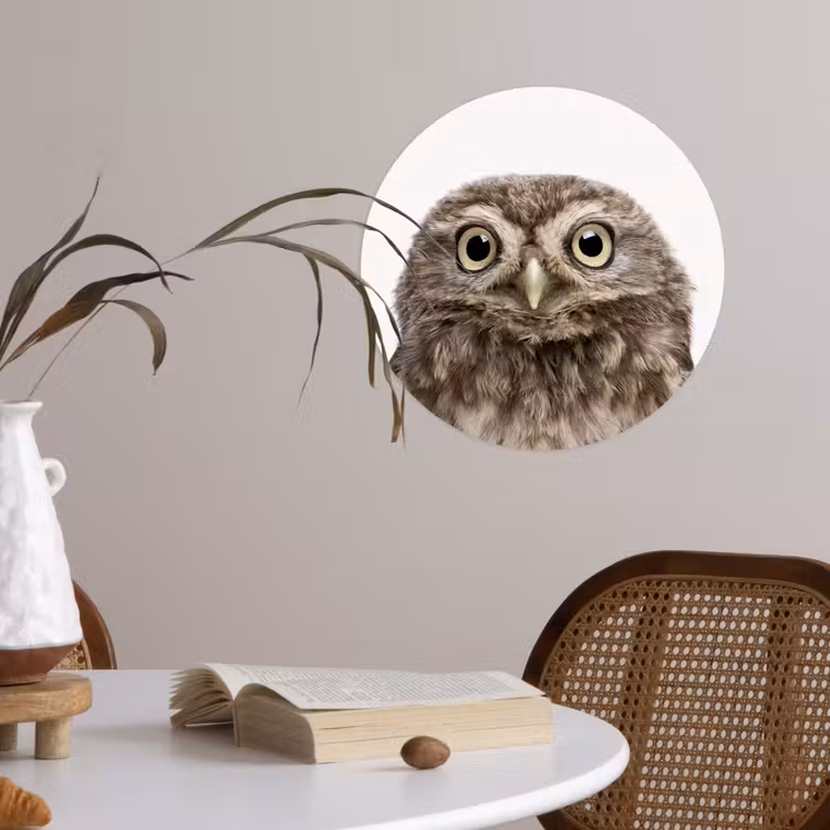 Behangcirkel - Uilskuiken - Uil - Portret - Bruin - Vogel - Jongens - Meisjes — 4
