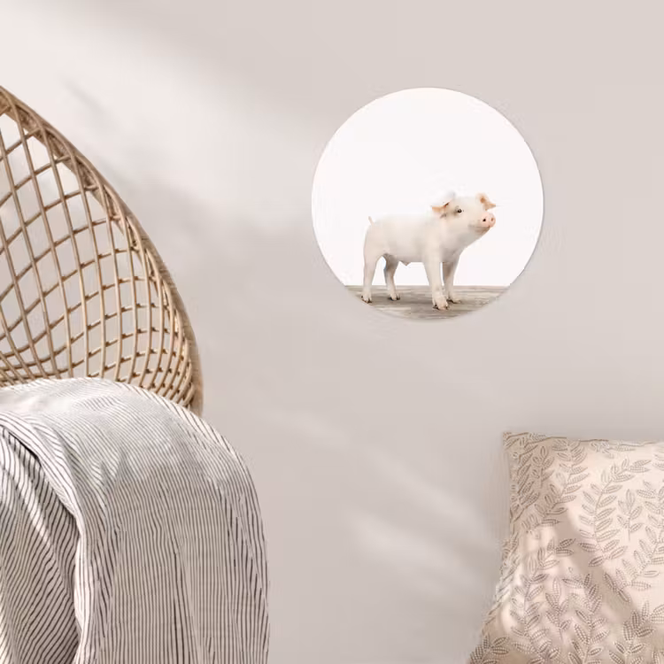 Behangcirkel - Varkentje - Big - Dieren - Roze - Jongens - Meisjes - Kinderen — 5