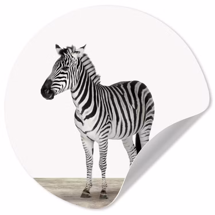 Behangcirkel - Zebra - Meisjes - Dieren - Kinderen - Jongens — 1