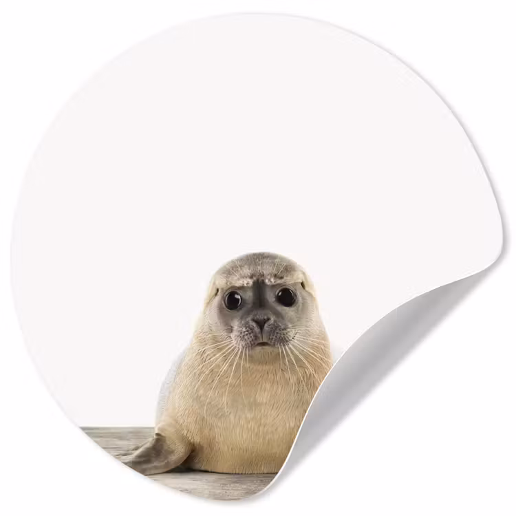 Behangcirkel - Zeehond - Dieren - Kind - Jongens - Meisjes - Kinderen — 1