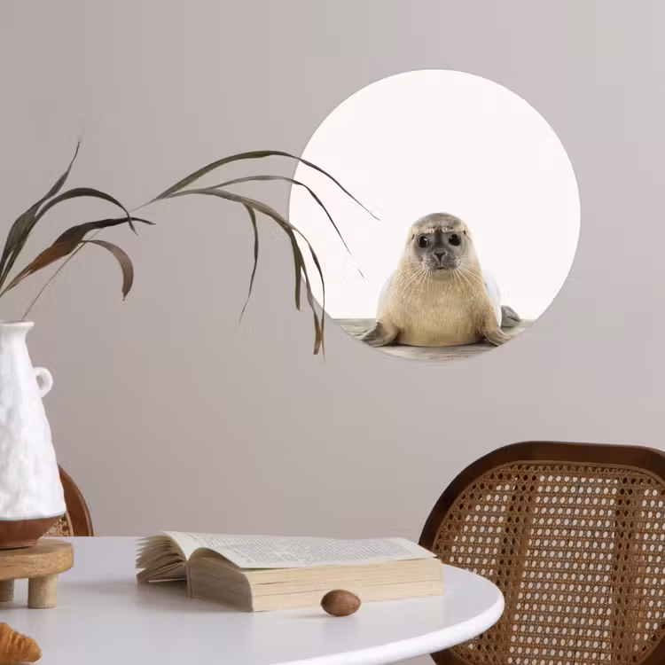 Behangcirkel - Zeehond - Dieren - Kind - Jongens - Meisjes - Kinderen — 4