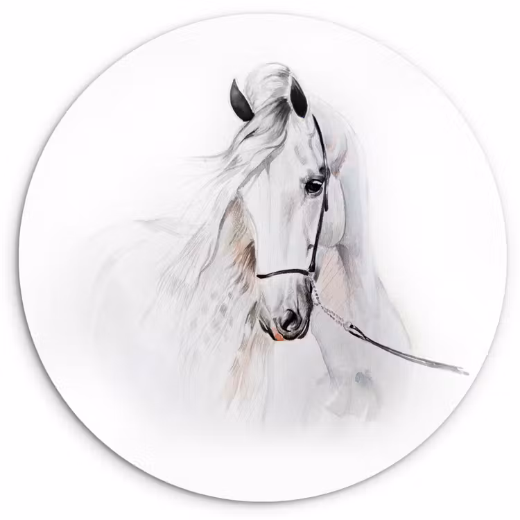 Muurcirkel - Paard - Waterverf - Dieren - Wit — 1