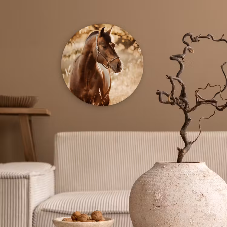 Muurcirkel - Paard - Zon - Portret - Natuur - Bruin — 2
