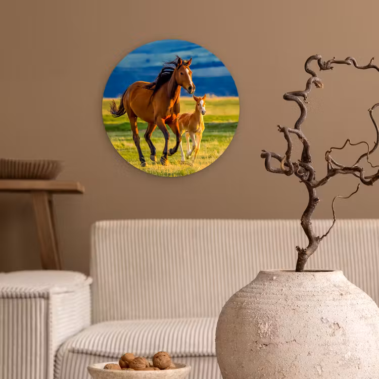 Muurcirkel - Paarden - Gras - Dieren - Landschap - Natuur — 2