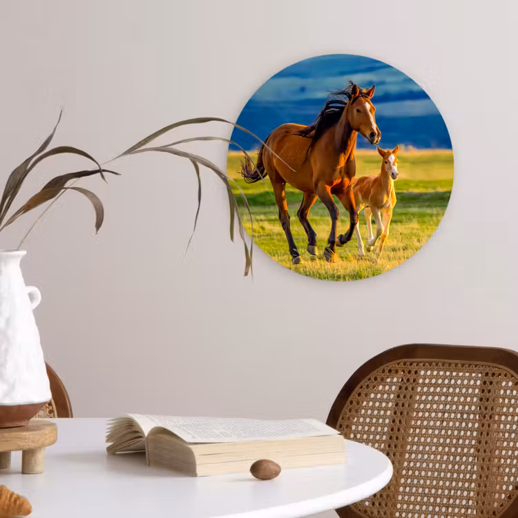 Muurcirkel - Paarden - Gras - Dieren - Landschap - Natuur — 4