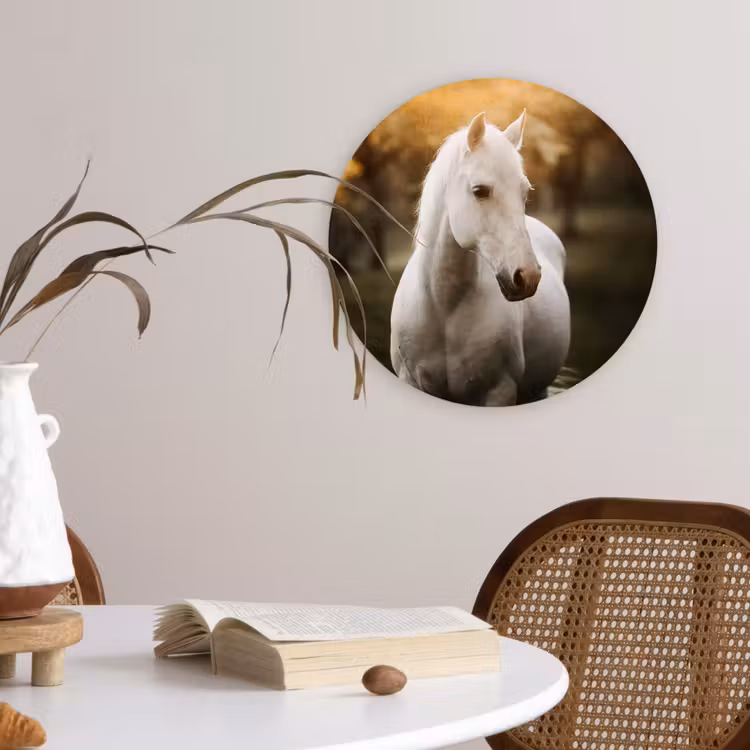 Muurcirkel - Paard - Zon - Herfst - Dieren - Natuur — 4
