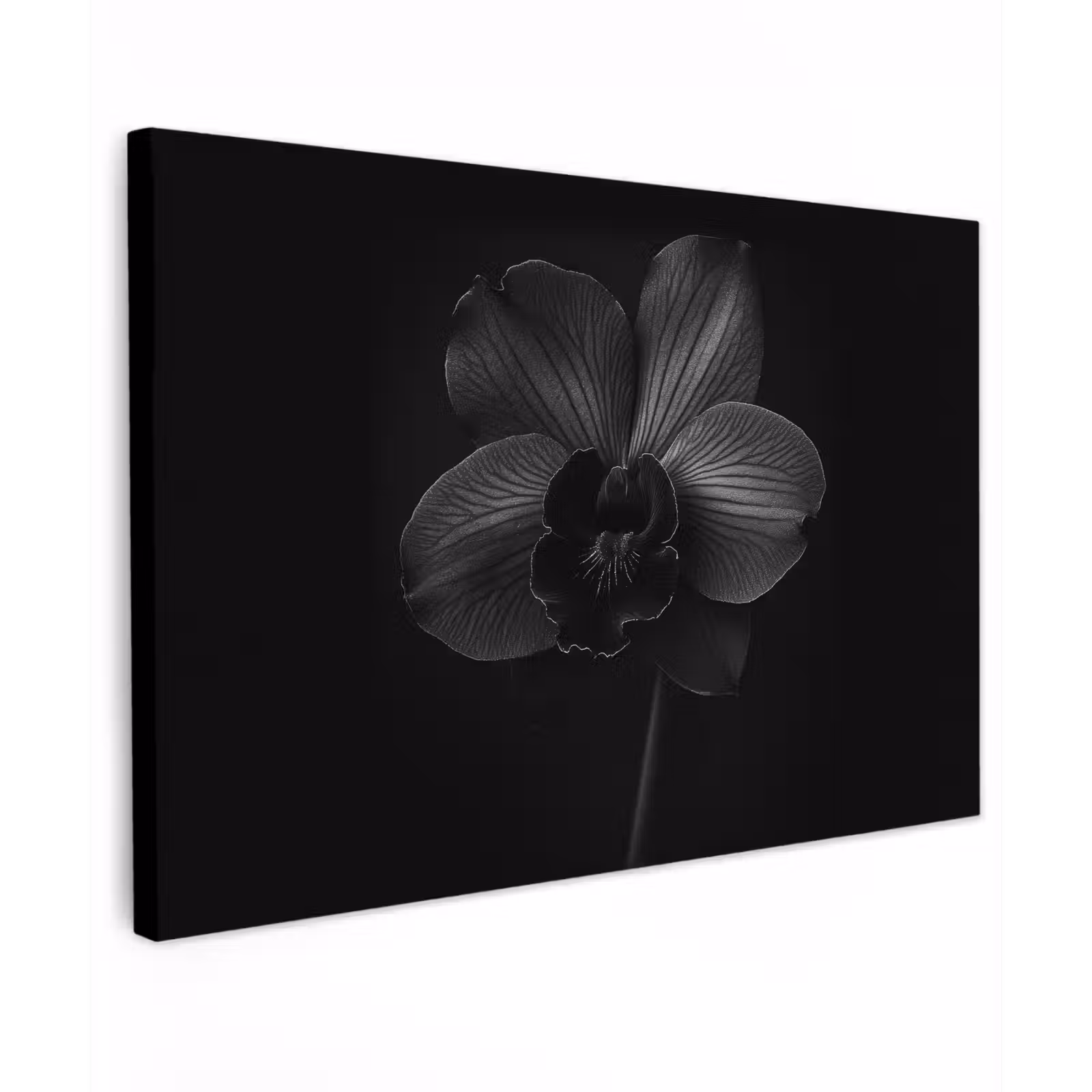 Canvas schilderij - Zwart - Bloem - Orchidee — 1