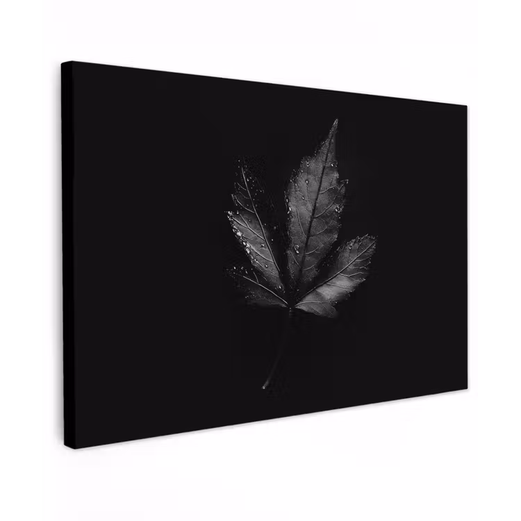 Canvas schilderij - Zwart - Blad — 1