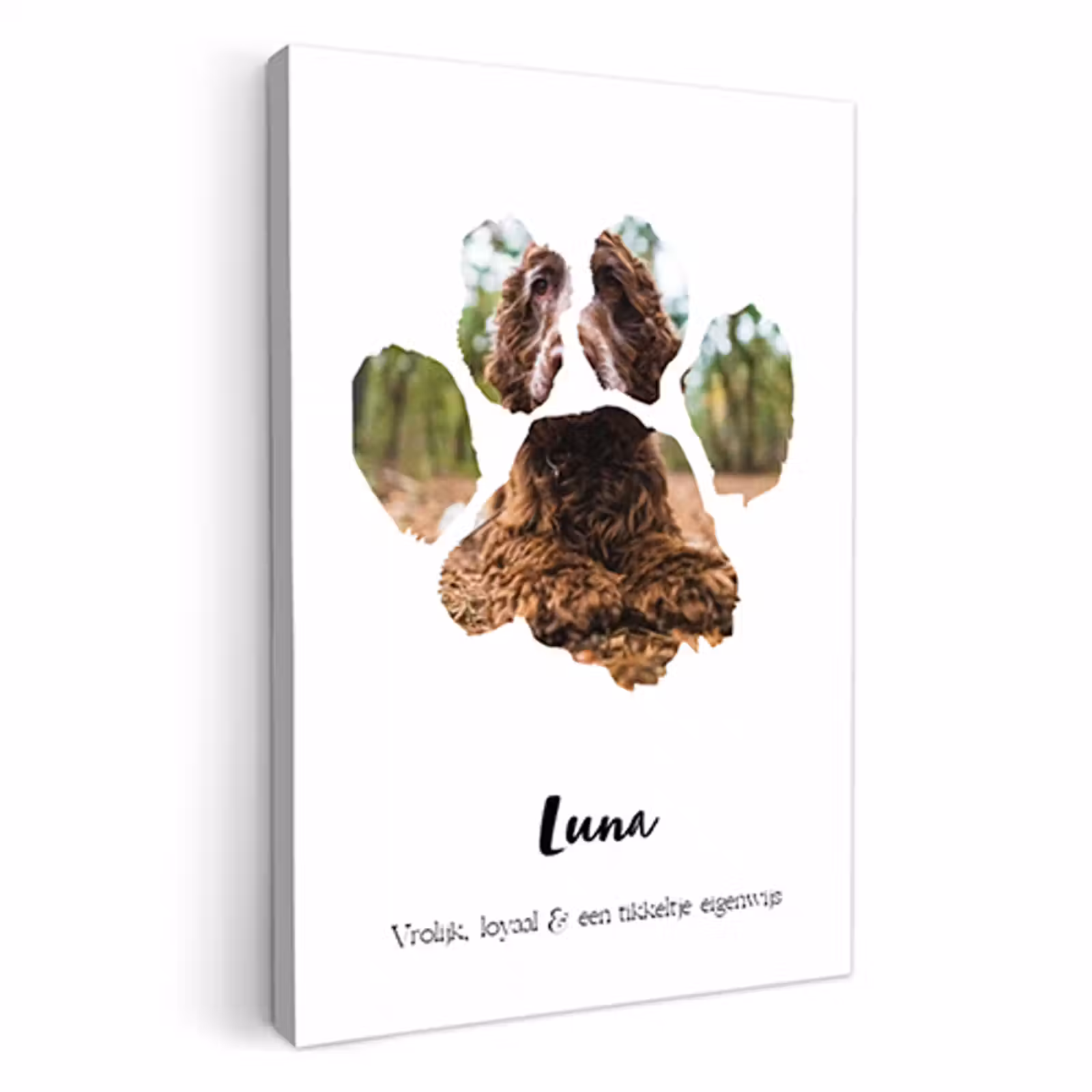Canvas - Dierenpootje — 1